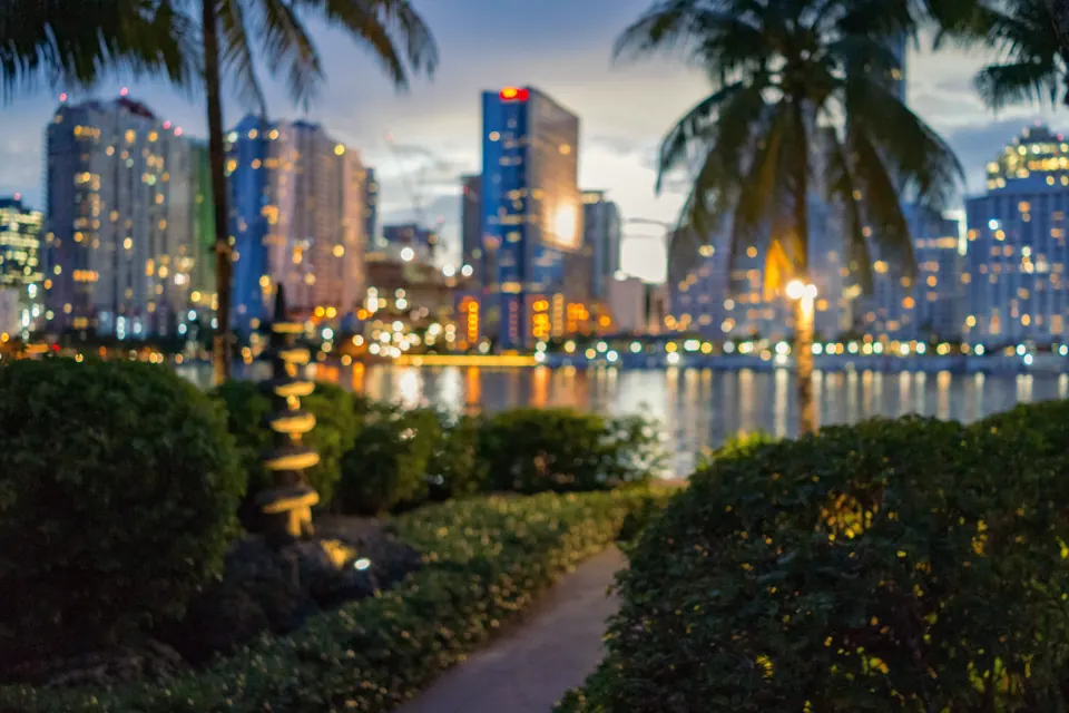 Palm trees in front of illuminated high rise towers at night