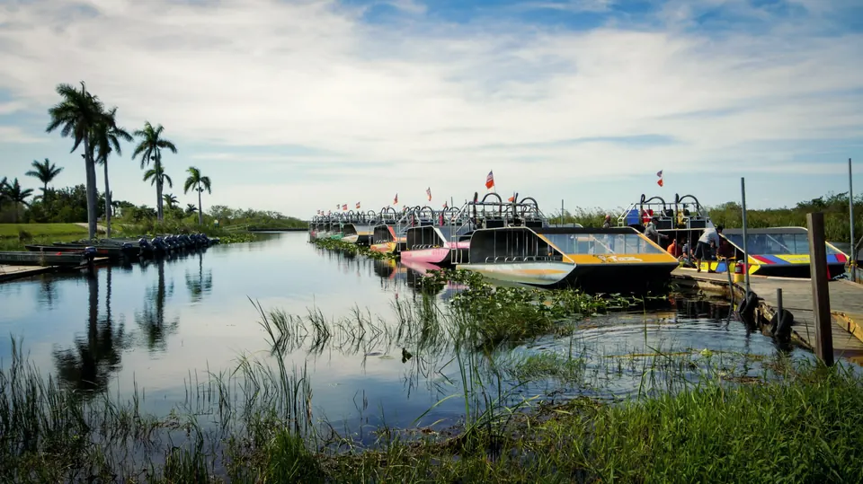 Airboats docked at the edge of the Everglades