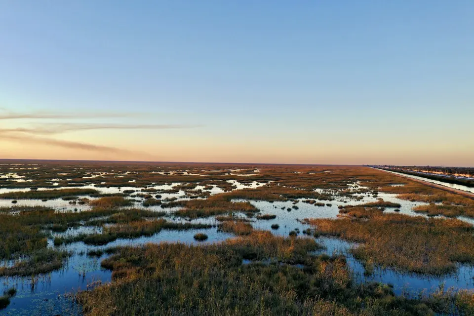 Everglades sawgrass marsh at dusk west of Miami
