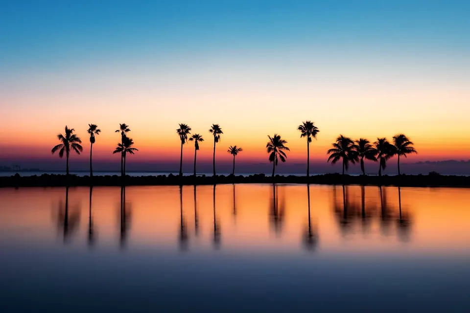 Palm trees reflected in calm water at sunset in South Florida